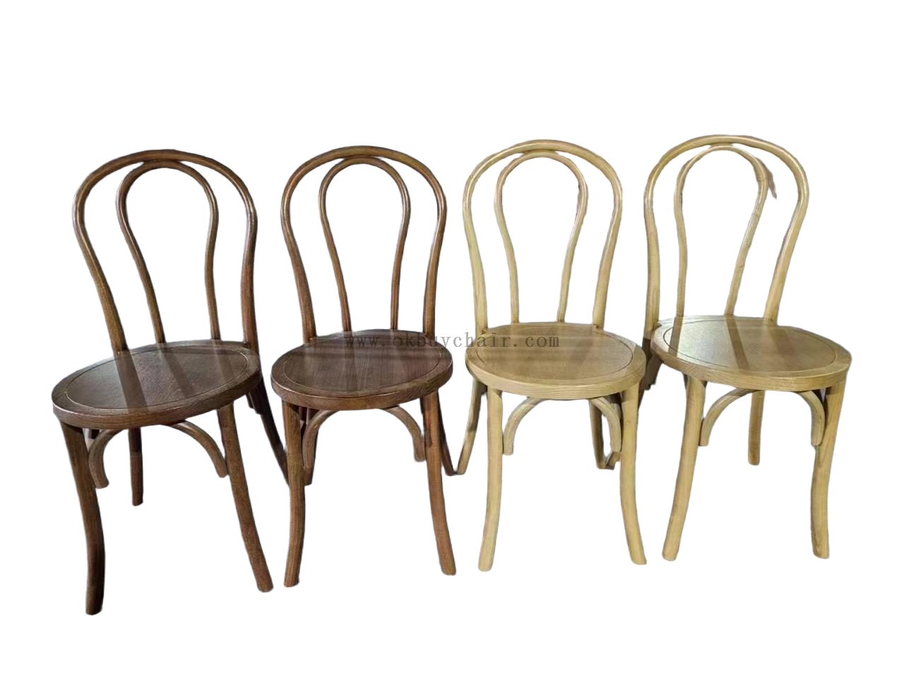 Solid Elm Wood Bentwood Thonet Chair with Round Plywood Seat for Conference Public Venue and Event Seating